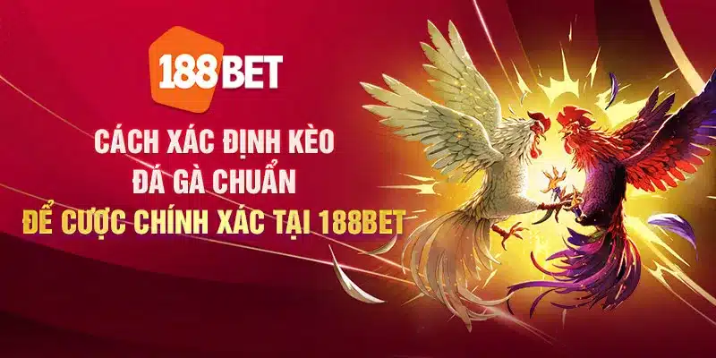 Cách xác định kèo đá gà chuẩn để cược chính xác tại 188Bet Cách xác định kèo đá gà chuẩn để cược chính xác tại 188Bet