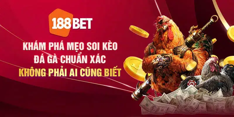 Khám phá mẹo soi kèo đá gà ngon không phải ai cũng biết kham pha meo soi keo da ga chuan xac khong phai ai cung biet 1 11zon