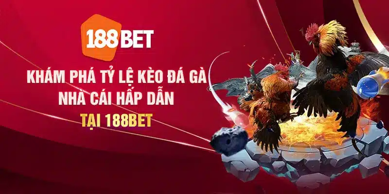 Khám phá tỷ lệ kèo đá gà nhà cái hấp dẫn tại 188Bet Khám phá tỷ lệ kèo đá gà nhà cái hấp dẫn tại 188Bet