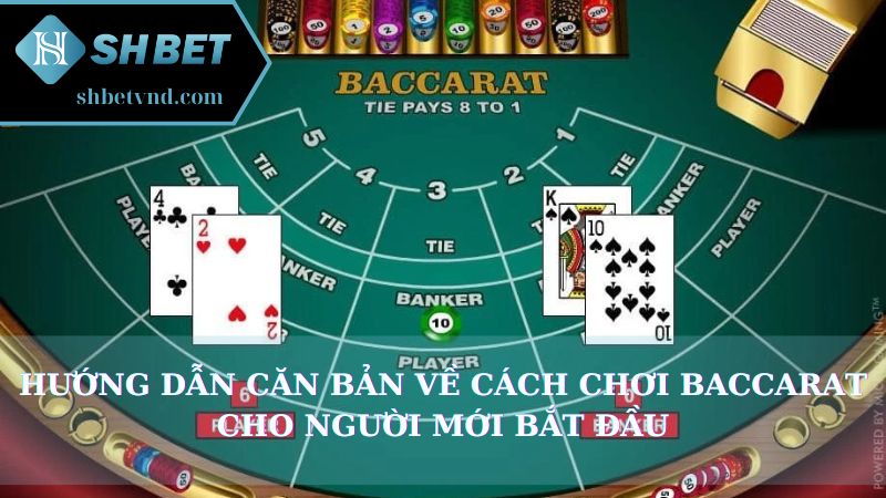 Những chiến lược đánh bài Baccarat Shbet hiệu quả từ cao thủ Hướng dẫn căn bản về cách chơi Baccarat cho người mới bắt đầu