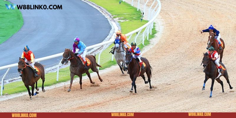 Các loại kèo cá cược trong môn đua ngựa