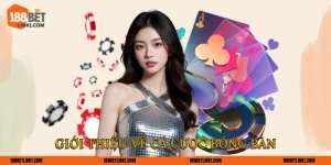 Giới thiệu về cá cược bóng bàn 