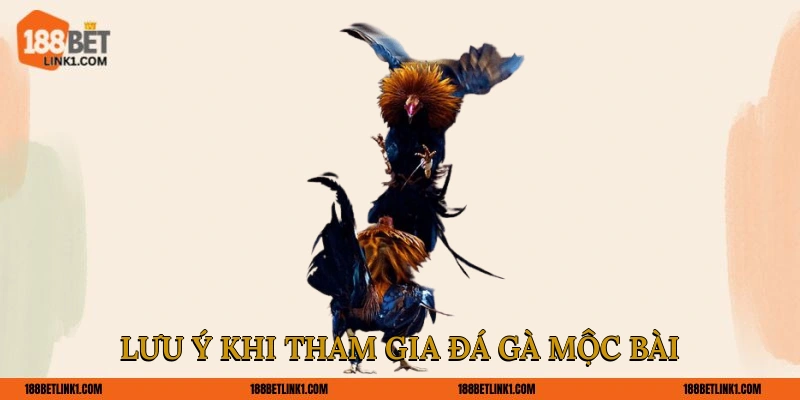 Đá Gà Mộc Bài 188BET Dễ Thắng Cho Tân Thủ Tham Khảo Lưu ý khi tham gia đá gà Mộc Bài