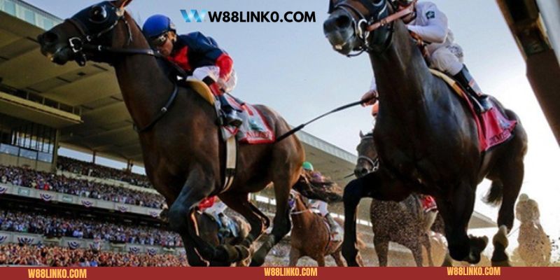 Mẹo cá cược đua ngựa chiến thắng